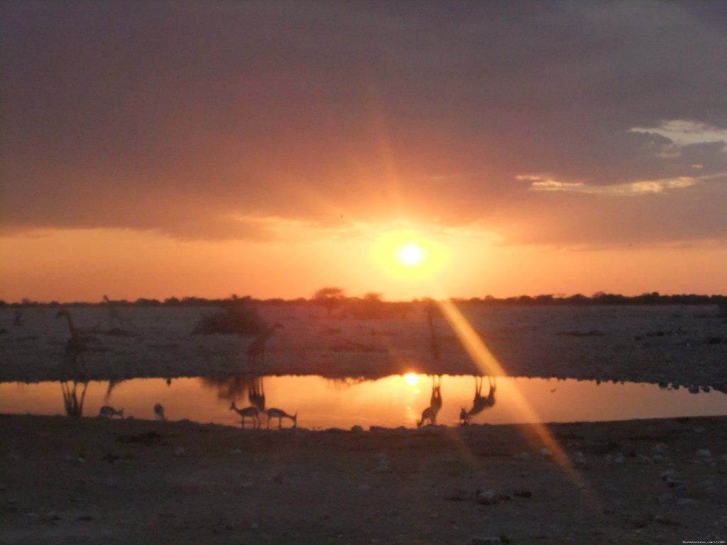 Etosha National Park | Bluecrane Safaris Namibia | Image #3/14 | 