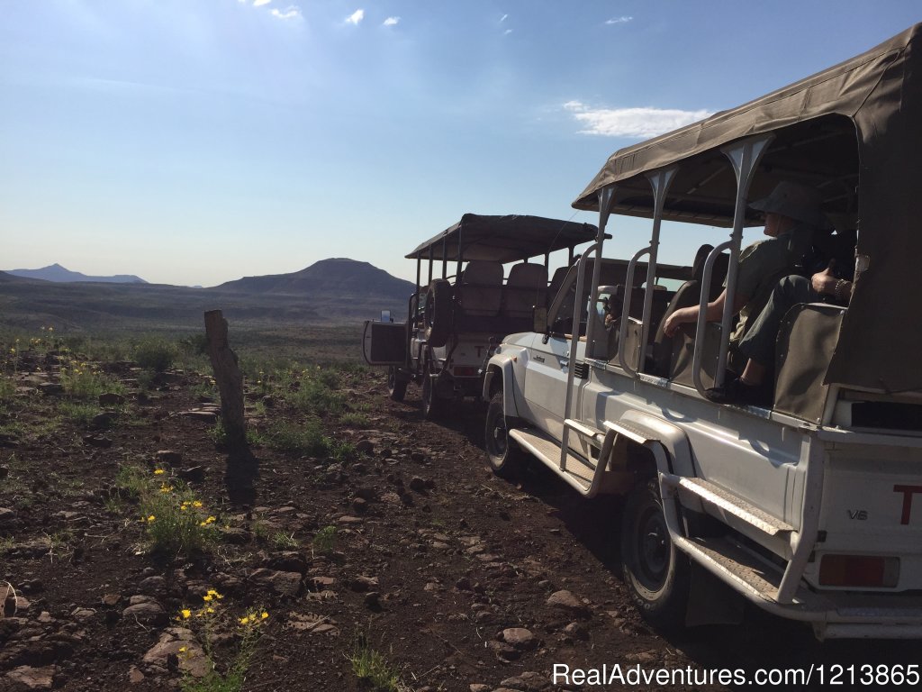 Bluecrane Safaris Namibia | Image #11/14 | 