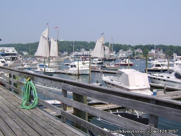 Tugboat Marina | Getaway to the Coast at the Tugboat Inn | Image #4/17 | 