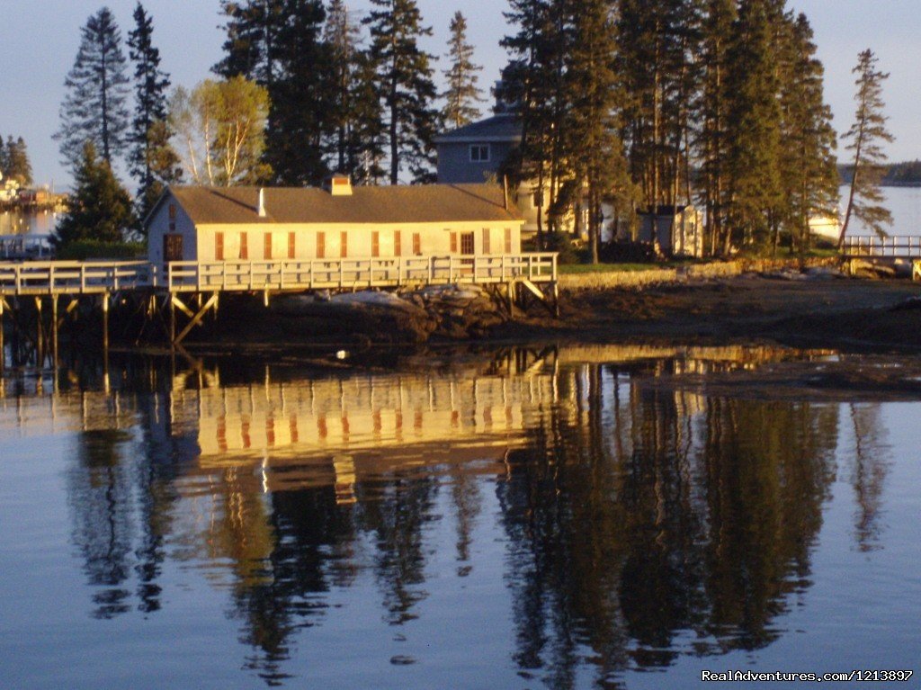 The view from the Tugboat Pier, Harbor Island | Getaway to the Coast at the Tugboat Inn | Image #16/17 | 