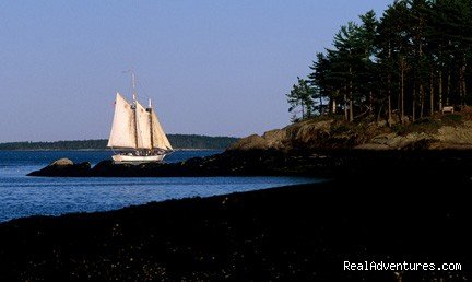 Sailing in Camden Maine harbor | Getaway to Blackberry Inn in Camden, ME | Image #3/4 | 