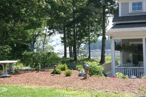 view from the side yard