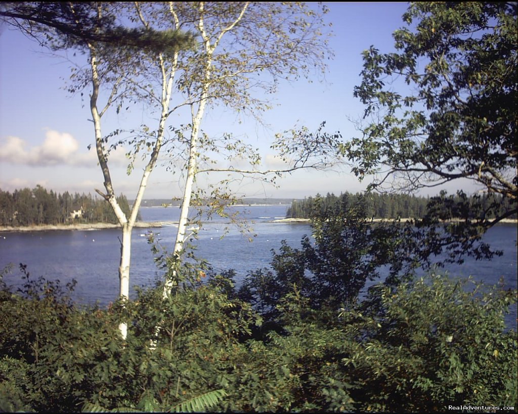 View from the porch | Mooring B&B on the Ocean | Image #3/4 | 