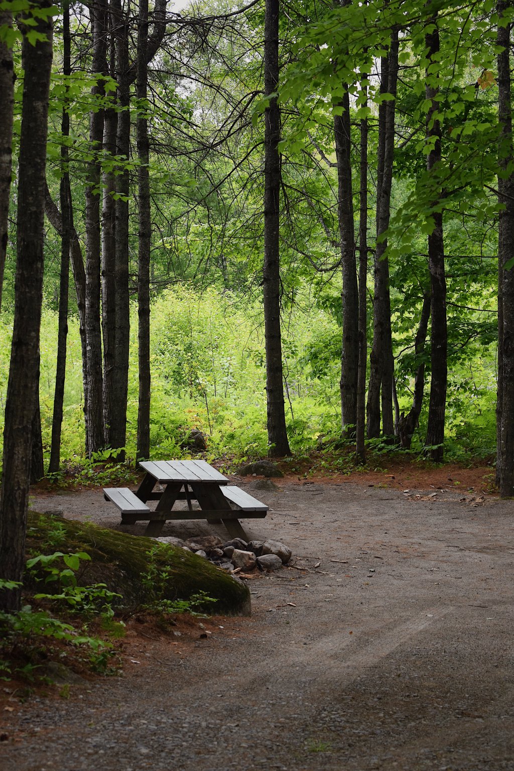 Tent Site | Big Moose Inn, Cabins & Campgrounds | Image #5/6 | 