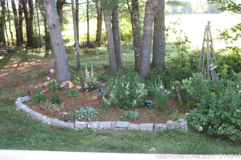 Garden off deck