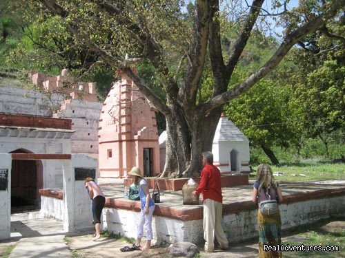 local Hot Springs | Himalayan nature resort at Eagles Nest India | Image #16/19 | 