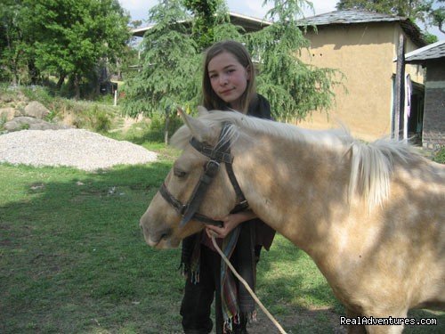 Our horse Chandra  | Himalayan nature resort at Eagles Nest India | Image #14/19 | 