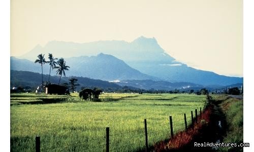 Tour of Mount Kinabalu, Suspension bridge,War memo | Kota kinabalu, Malaysia | Sight-Seeing Tours | Image #1/1 | 