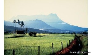 Tour of Mount Kinabalu, Suspension bridge,War memo