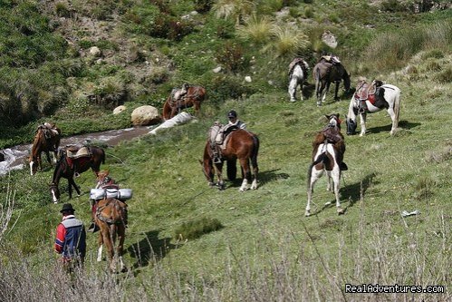 High Altitude Horseback Riding | Image #6/9 | 