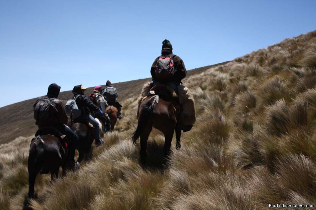 High Altitude Horseback Riding | Image #7/9 | 