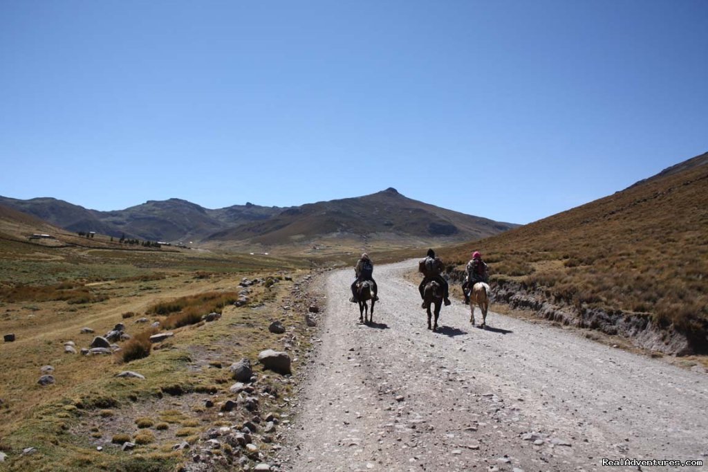 High Altitude Horseback Riding | Image #8/9 | 