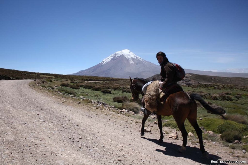 High Altitude Horseback Riding | Image #9/9 | 