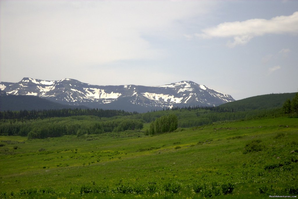 Moore Park  | Colorado - Ranch Weddings and Family Reunions  | Yampa , Colorado  | Hotels & Resorts | Image #1/6 | 