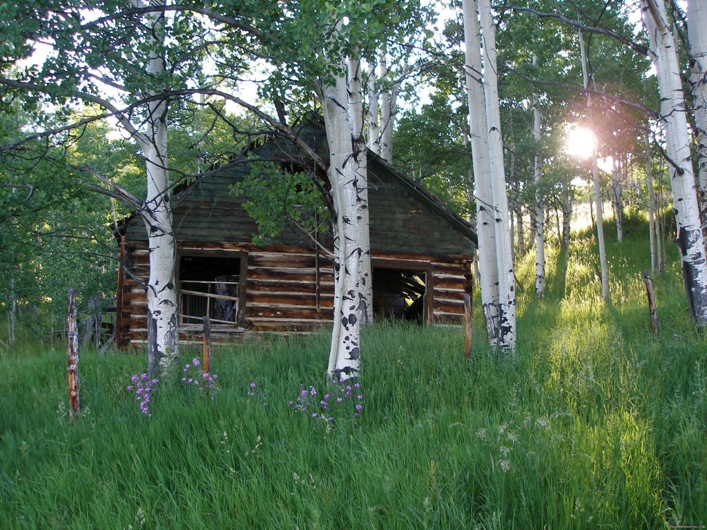 Bartzel Homestead  | Colorado - Ranch Weddings and Family Reunions  | Image #2/6 | 