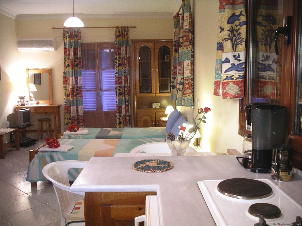 Studio | Zakynthos Holidays/Arazzo Villa rental | Image #9/14 | 