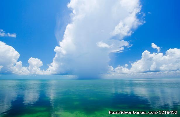 Bike Tour in the Florida Keys | Image #3/3 | 