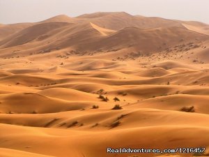 Morocco desert