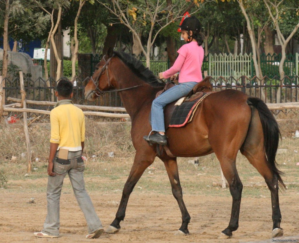 Horse Safari | Wildlife Safaris & Adventure Sports In South Asia | Image #13/20 | 