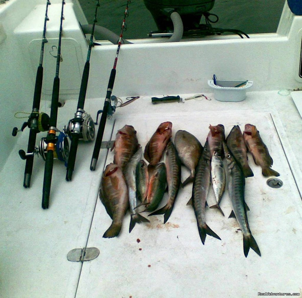 Azores Sport Fishing & Shore Excursions Tours. | Image #25/25 | 