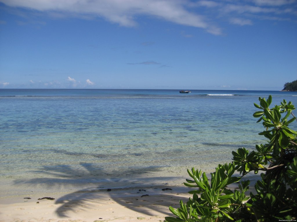 Anse Forbans beach | Beach Bungalows in the Seychelles | Image #4/10 | 