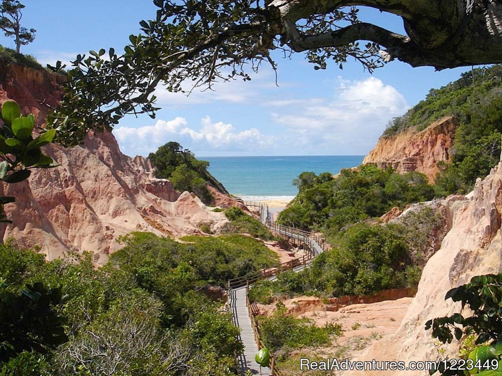 Golfer Dream Villa on Brazil's Terravista course | Image #7/21 | 