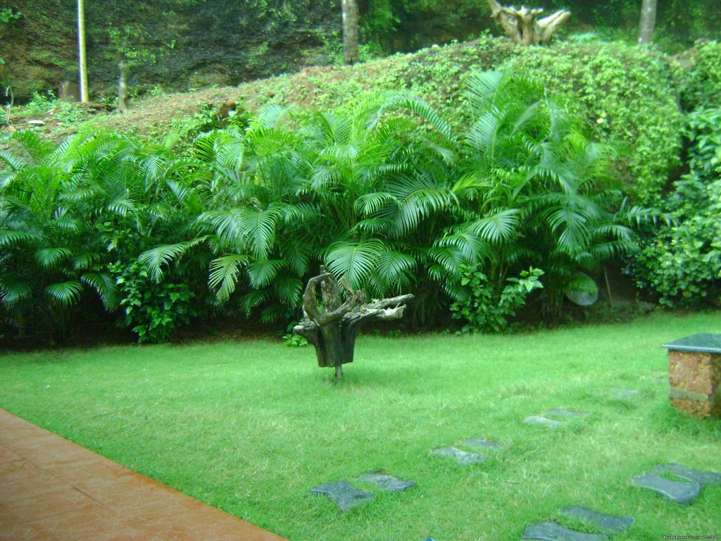 The greenery surrounding the house | Ocean Hues Beach House - Seaside Holiday in Kerala | Image #15/20 | 