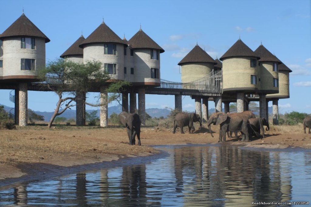 Three Days Tsavo East & Salt Lick Safari | mombasa, Kenya | Eco Tours | Image #1/1 | 