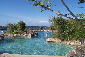 One Day Wasini Island | Diani, Kenya | Scuba Diving & Snorkeling