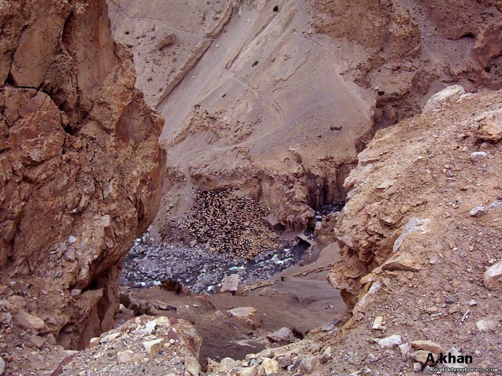 Shimsahl Pamir Pass Trek | Shimshal Pass( Kuch)Trek Hunza Pakistan | Image #4/21 | 