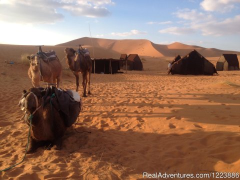 Camel Trek