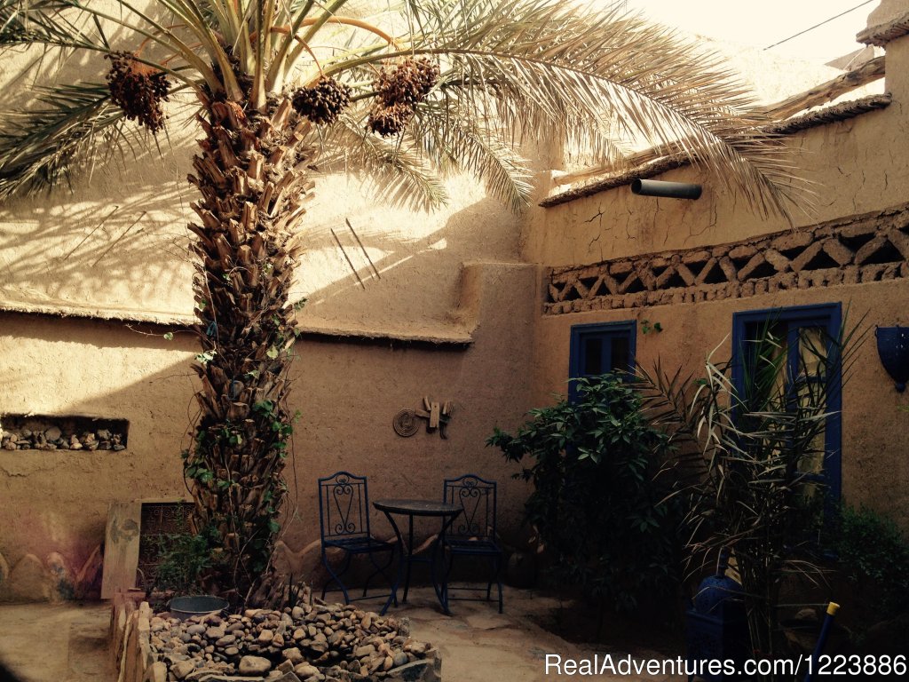 Garden | Chez Youssef Lodge | Image #5/13 | 