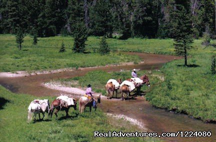 Pack Trips in Wyoming