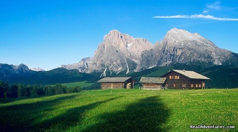 the famous Alpe di Siusi