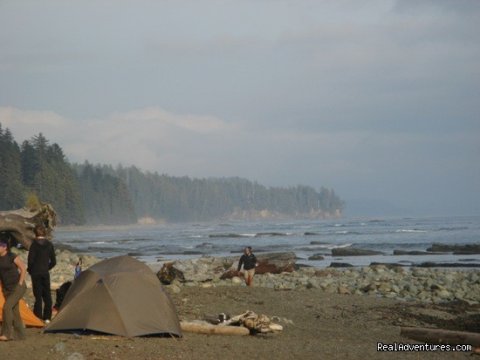 Misty morning on the West Coast Trail