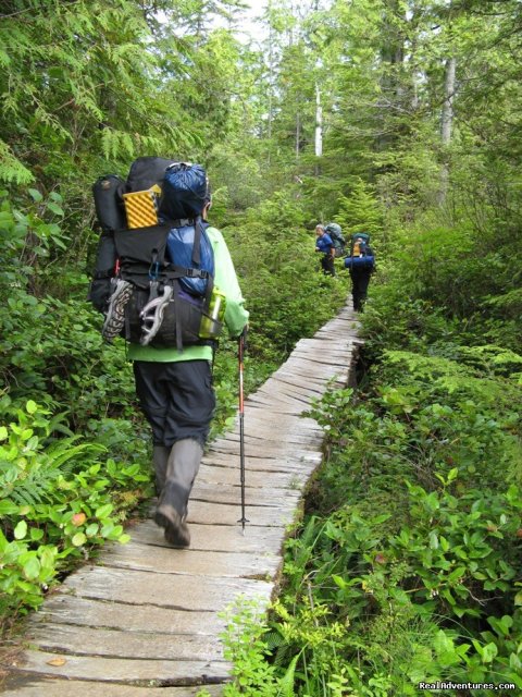 WCT Boardwalk-Slippery When Wet