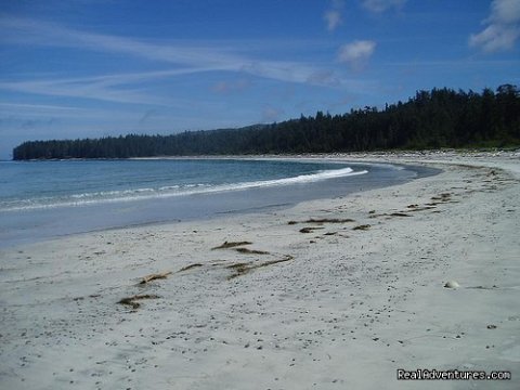 Nels Bight, North Coast Trail