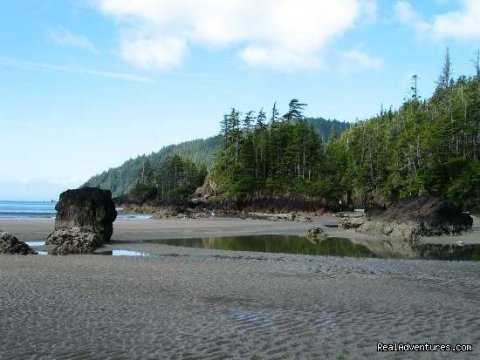 Sea Stack at a North Coast Beach