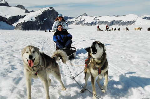 Dog Mushing