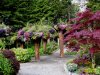 Alaskan Botanical Garden Adventures | Juneau, Alaska