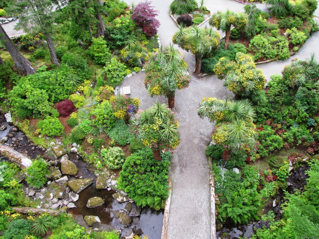 A unique perspective | Alaskan Botanical Garden Adventures | Image #4/4 | 