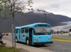 Mendenhall Glacier Transport/ Mighty Great Trips | Juneau, Alaska