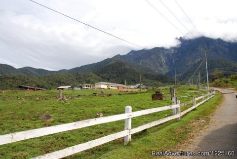 Kundasang