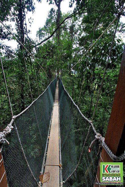 Canopy at Poring Hot Spring | 3D/2N Mount Kinabalu Climbing & Poring Hot Spring | Image #11/14 | 