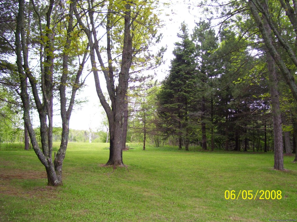 Beautiful back yard | Somebody Else's House Near Lake Superior | Image #3/15 | 