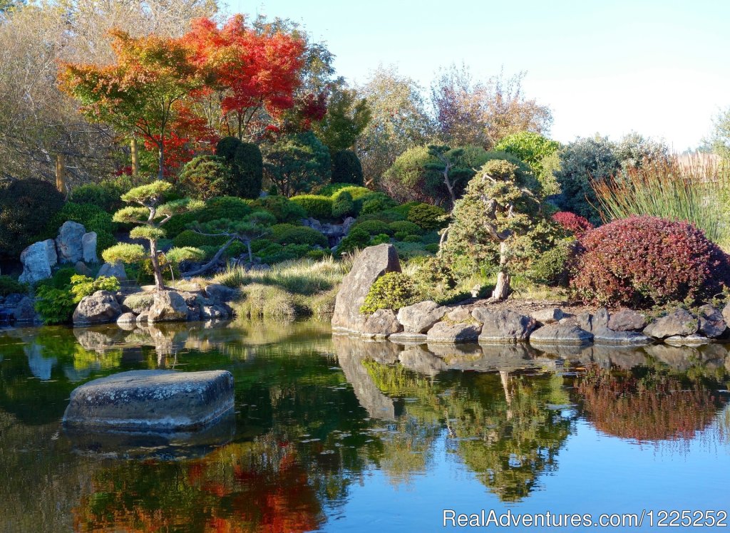 Autumn in Our Meditation Garden | Osmosis Day Spa Sanctuary | Image #6/10 | 