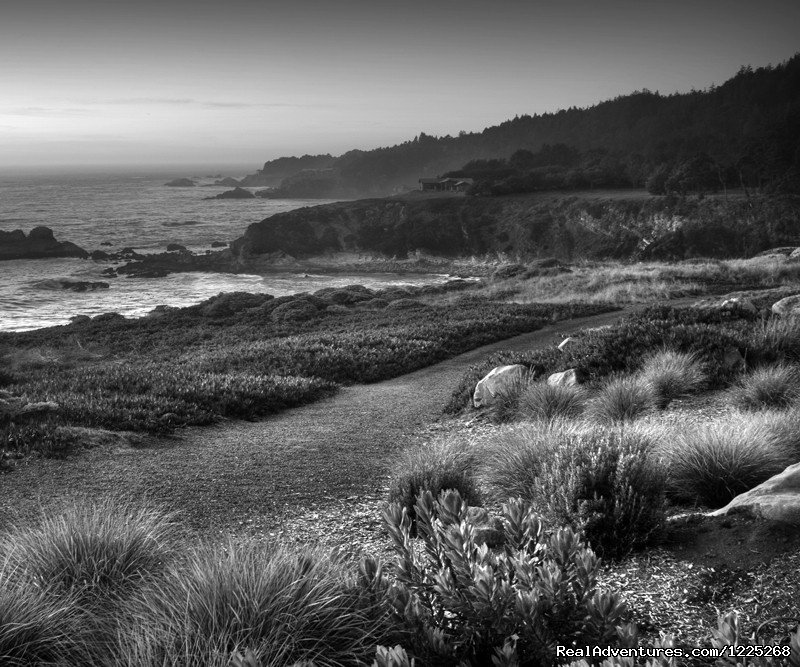 Ocean view from Timber Cove Inn | Timber Cove Inn | Image #4/25 | 