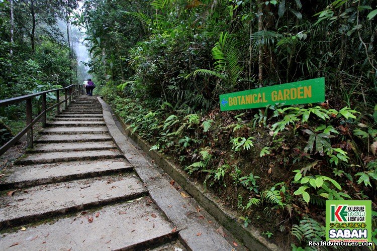 Kinabalu Park | 3D/2N Kota Kinabalu City Tour/Zoo/Kinabalu Park | Image #17/19 | 