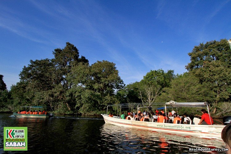 Wildlife River Cruise | 4D/3N Wildlife River Cruise & Pulau Tiga | Image #3/13 | 