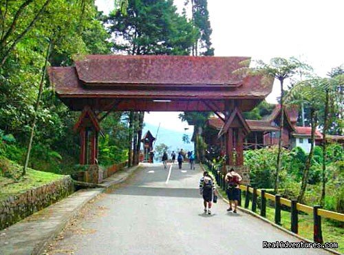 Kinabalu Park | 2D/1N Kinabalu Park/Mesilau/Sabah tea | Image #5/8 | 